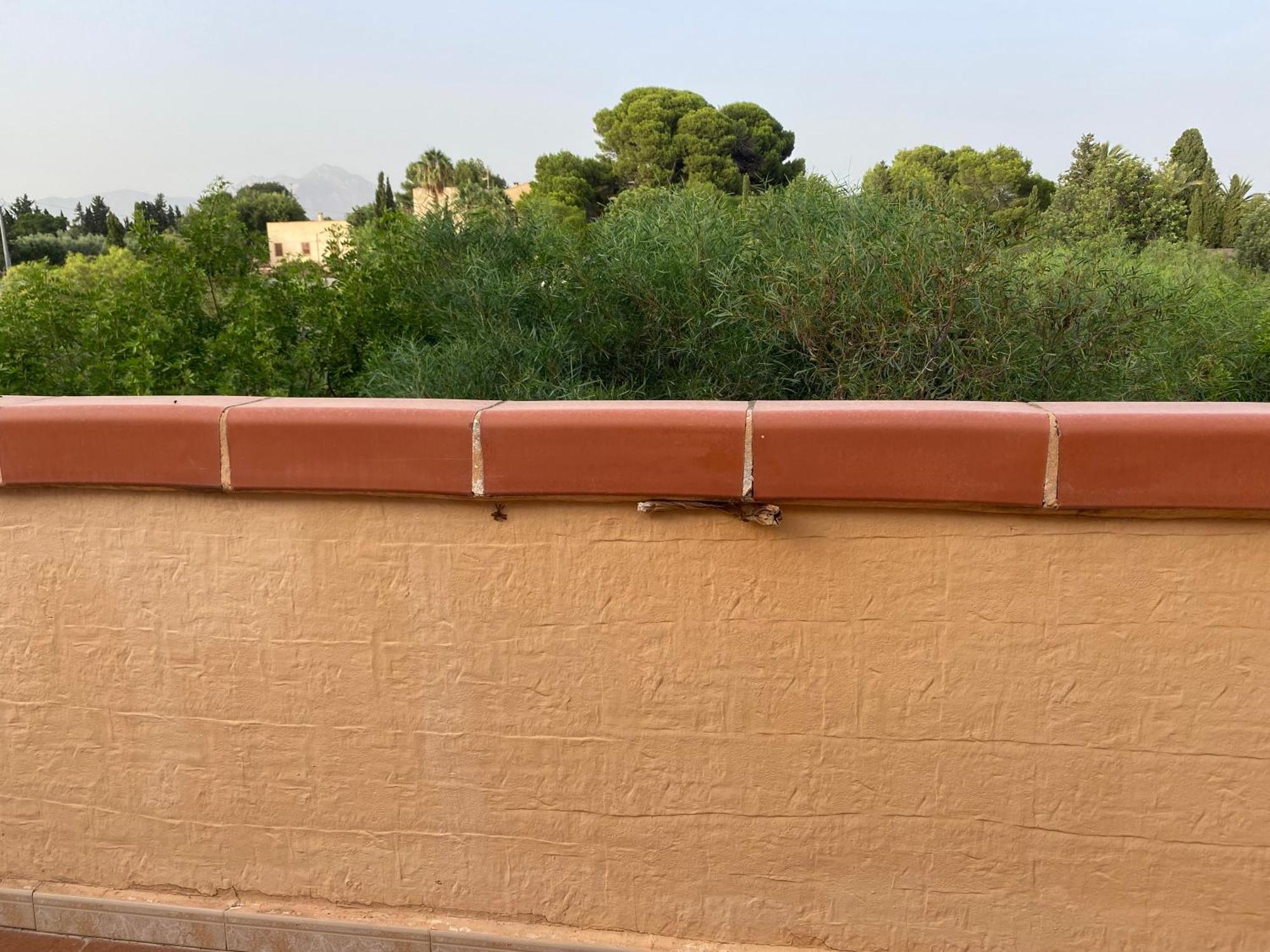 Casa En La Huerta De Mutxamel Villa Eksteriør billede